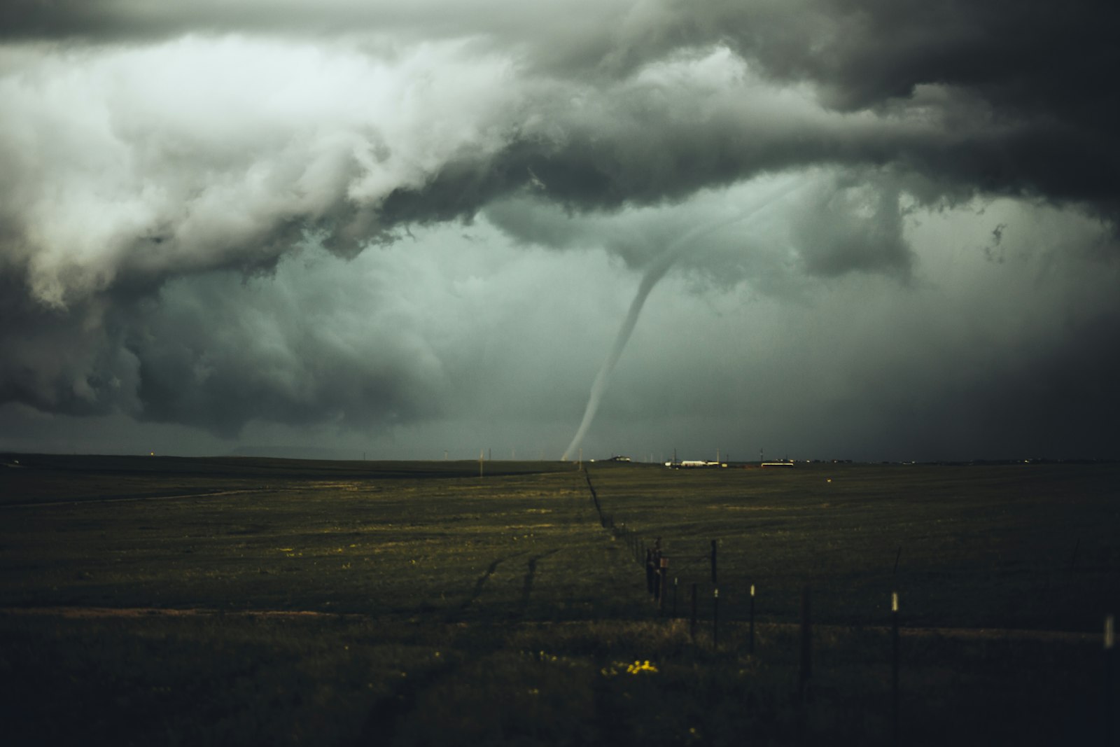 Palm trees bending in storm wind — hurricane season trip insurance